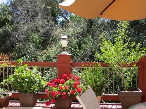 Colton Inn image 4